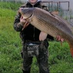 Почти 15 кг: в Могилевском районе рыбак поймал большого сазана