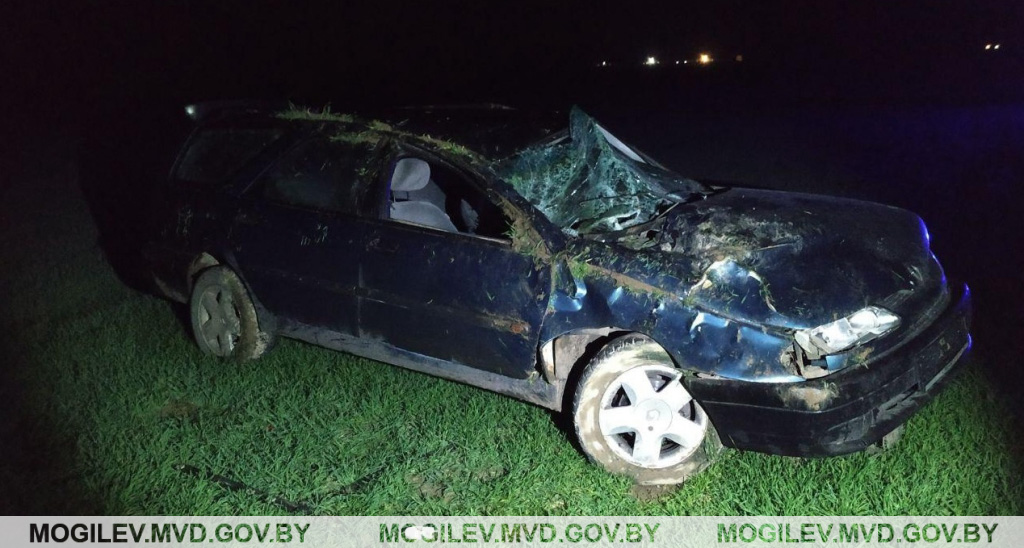 В Белыничском районе в ДТП погиб молодой мужчина (Фото)