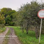 Шклоўскі бульвар ператвараецца ў сметнік (Фота)