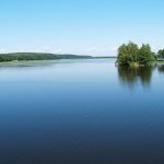 В Могилевской области около 3 т рыбы выпустили в Чигиринское водохранилище, озера Курманово и Печерское