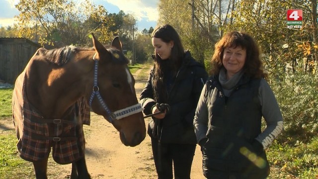 Могилевская школьница спасла лошадь и из-за этого переехала жить в деревню в Белыничском районе (Видео)