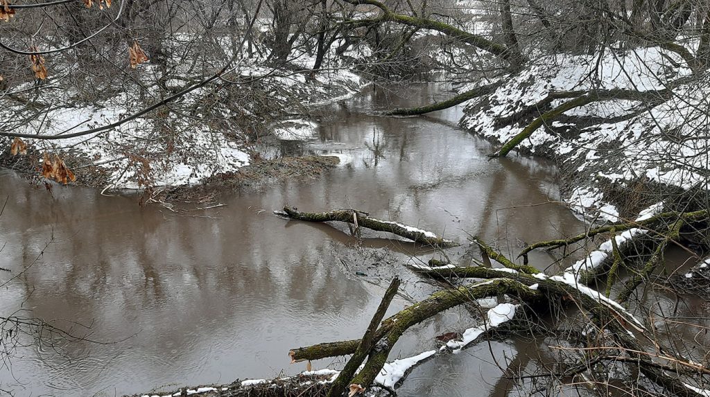 В Шклове водоёмы уверенно движутся к экологической катастрофе