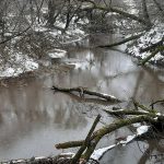 В Шклове водоёмы уверенно движутся к экологической катастрофе