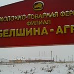 В Осиповичском районе лучшее хозяйство перестало быть филиалом “Белшины”