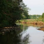 На Тетеринском водохранилище возводят новую купель