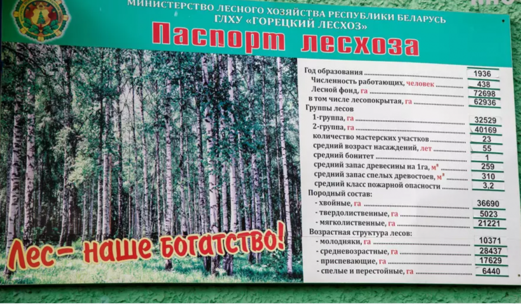 Дрон и “Лесной страж”. Как в Горецком лесхозе следят, чтобы в лесу не было пожаров?