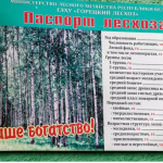 Дрон и “Лесной страж”. Как в Горецком лесхозе следят, чтобы в лесу не было пожаров?