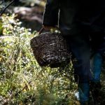 В Глусском районе искали пенсионерку