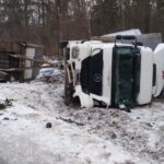 На трассе Бобруйск-Могилев перевернулась фура, пытаясь объехать падавшее дерево